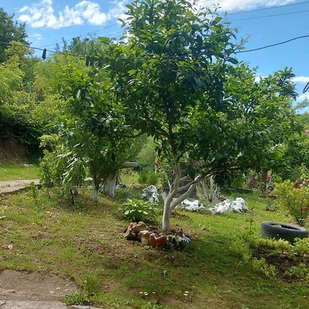 Mero House クタイシ エクステリア 写真